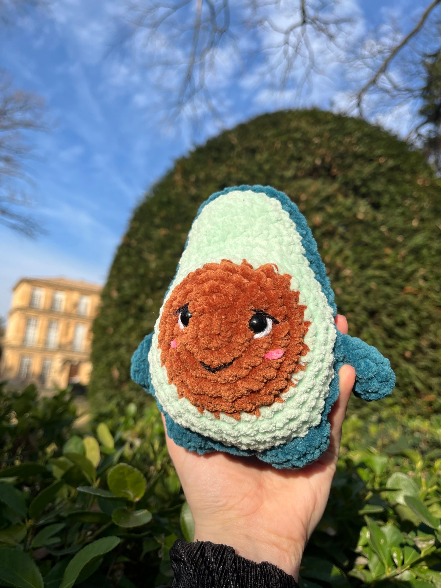 Modèle Avocat au crochet ( Ebook numérique )