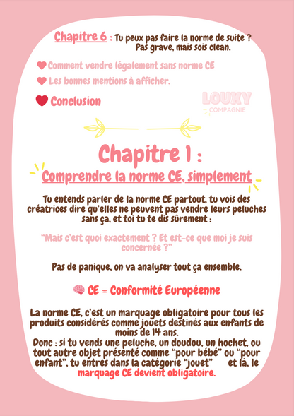 🎁⚠️ Pack spécial – Lancer & structurer ton business de crochet (Livres numériques)
