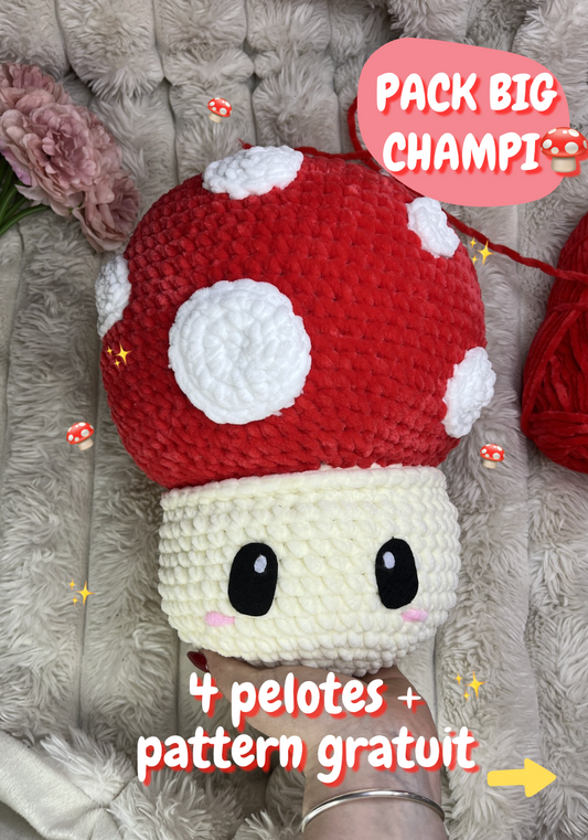 🍄Pack BIG champi 🍄