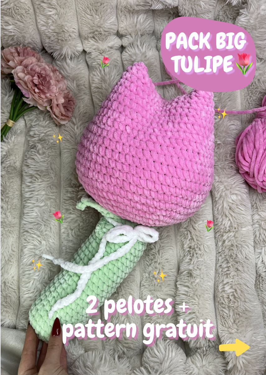🌷Pack BIG tulipe🌷